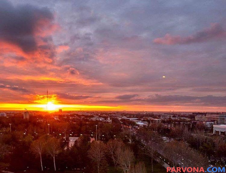 5 aprel kuni O`zbekistonda qanday ob-havo kuzatiladi?