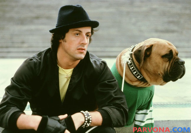 Yoshligida muhtojlikdan itini 40 dollarga sotgan Silvestr Stallone