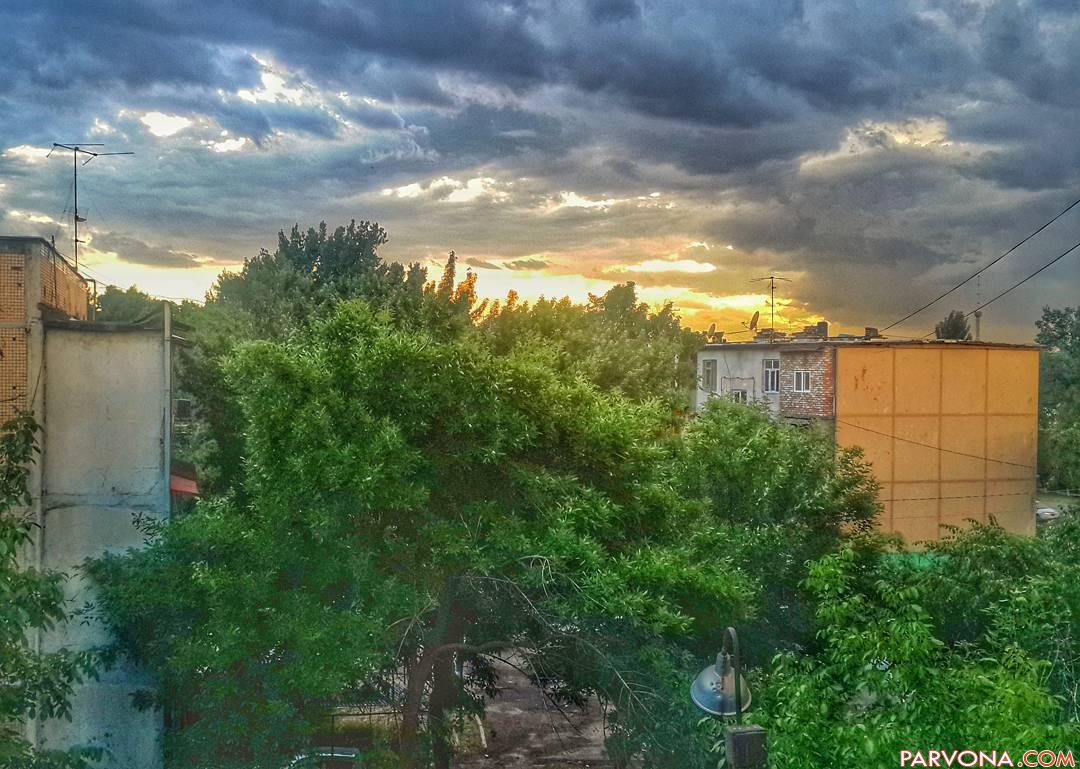 20 may kuni O`zbekistonda qanday ob-havo kuzatiladi?