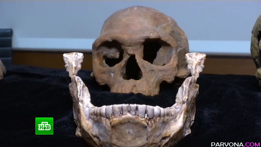 Paleontologlar 300ming yillik inson jasadi qoldiqlarini topdi