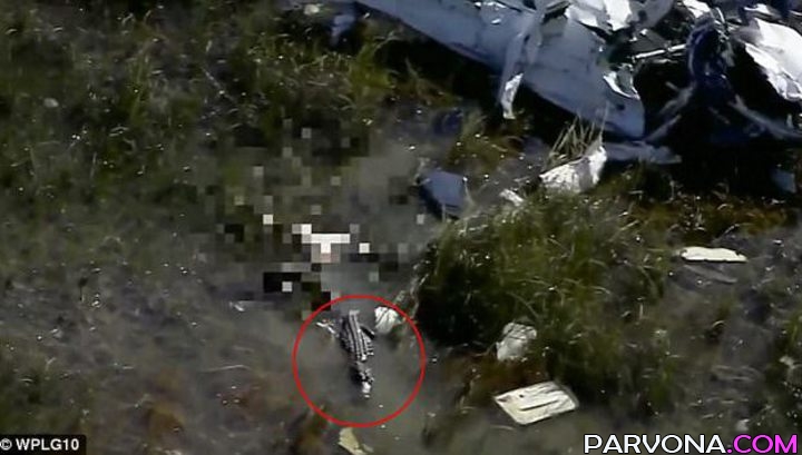 ALLIGATOR BOTQOQQA QULAGAN SAMOLYoT UChUVChISINI YuTIB YuBORDI