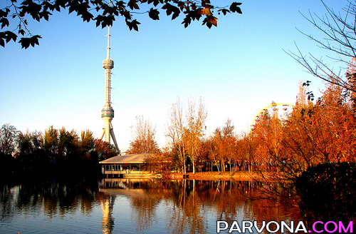 BUGUN 28 SENTYaBR UChUN OB-HAVO MA`LUMOTI