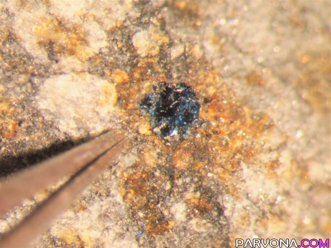Meteoritlardan Yerdagi hayot manbasi topildi