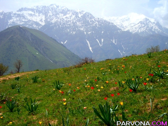 3 may kuni kutilayotgan ob-havo ma`lumoti